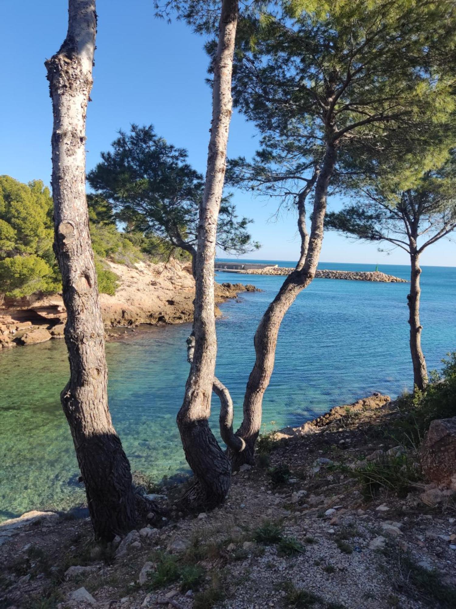 Paraiso En Cala Llobeta 卡拉法特 外观 照片